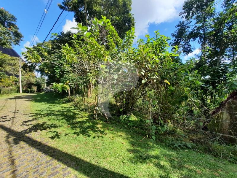 Terreno Residencial à venda em Itaipava, Petrópolis - RJ - Foto 3