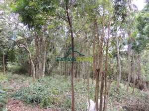 [CI 1425] Terreno Residencial em ARARAS, Petrópolis