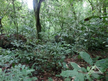 Terreno Residencial - Rio de Janeiro