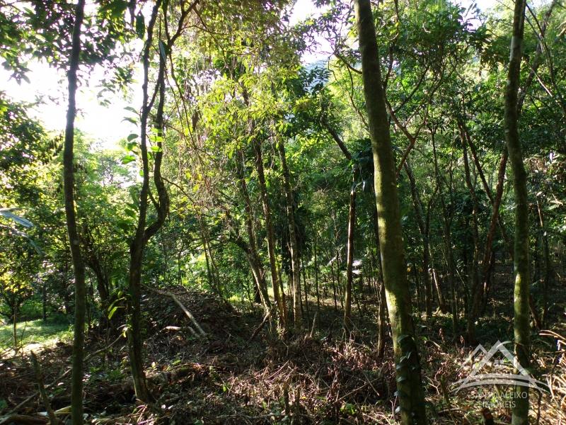 Terreno Residencial em Rio de Janeiro, Centro [Cod 2] - Santo Aleixo Imóveis