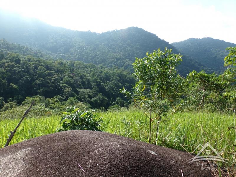 Terreno Residencial em Rio de Janeiro, Centro [Cod 6] - Santo Aleixo Imóveis