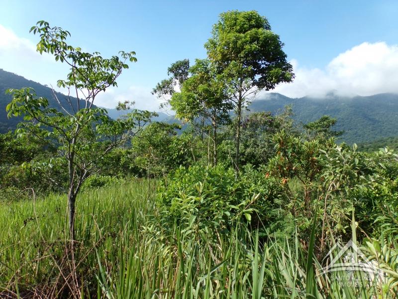 Terreno Residencial em Rio de Janeiro, Centro [Cod 6] - Santo Aleixo Imóveis