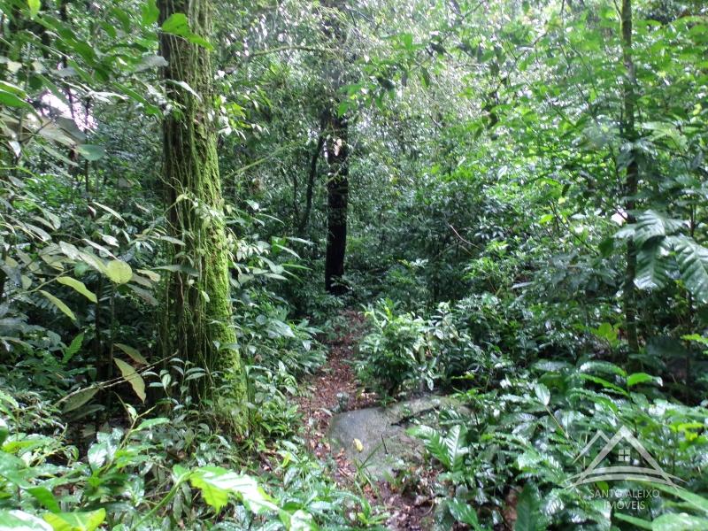 Terreno Residencial em Rio de Janeiro, Centro [Cod 13] - Santo Aleixo Imóveis