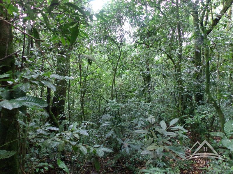 Terreno Residencial em Rio de Janeiro, Centro [Cod 13] - Santo Aleixo Imóveis