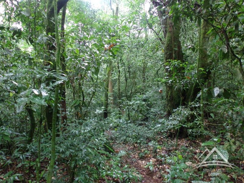 Terreno Residencial em Rio de Janeiro, Centro [Cod 13] - Santo Aleixo Imóveis