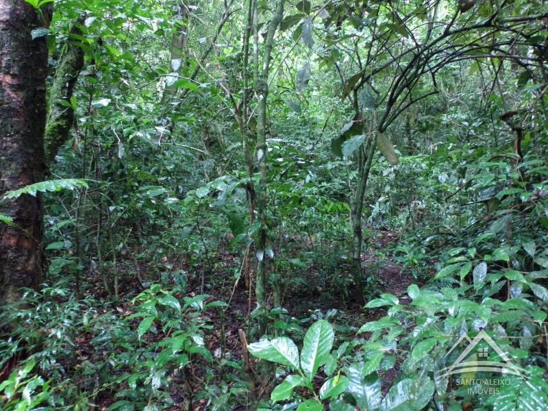 Terreno Residencial em Rio de Janeiro, Centro [Cod 13] - Santo Aleixo Imóveis