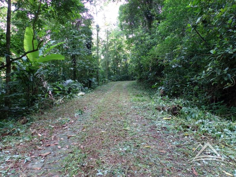 Fazenda / Sítio em Rio de Janeiro, Centro [Cod 19] - Santo Aleixo Imóveis
