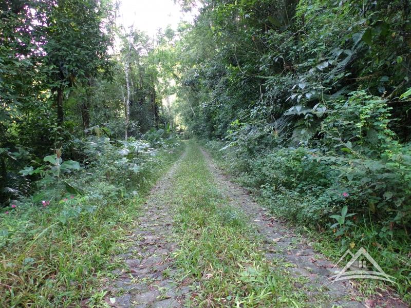 Fazenda / Sítio em Rio de Janeiro, Centro [Cod 19] - Santo Aleixo Imóveis