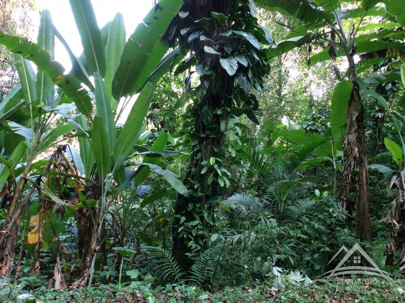 Fazenda / Sítio em Rio de Janeiro, Centro [Cod 19] - Santo Aleixo Imóveis