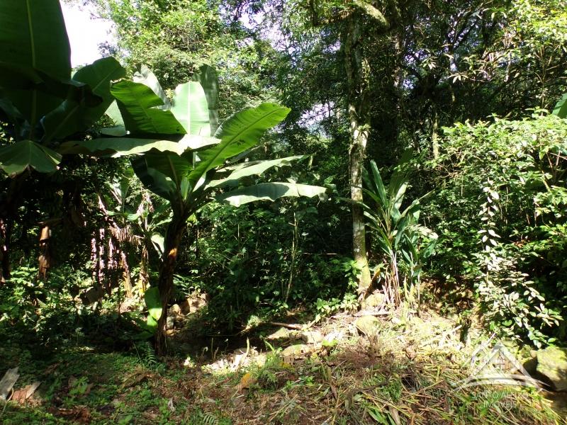 Fazenda / Sítio em Rio de Janeiro, Centro [Cod 19] - Santo Aleixo Imóveis
