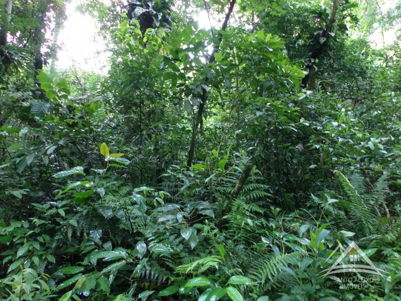 Terreno Residencial em Rio de Janeiro, Centro [Cod 21] - Santo Aleixo Imóveis