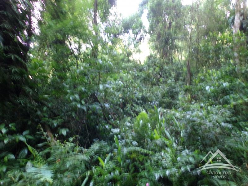 Terreno Residencial em Rio de Janeiro, Centro [Cod 21] - Santo Aleixo Imóveis