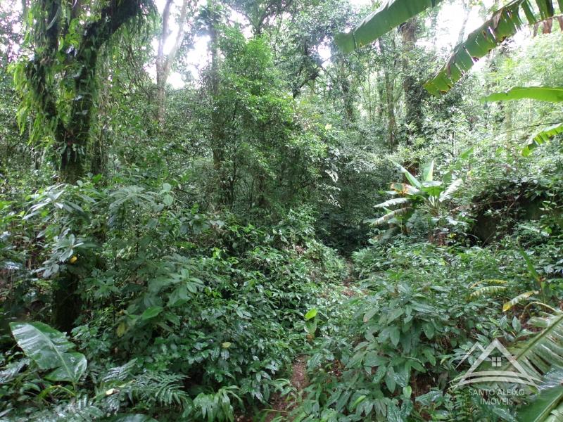 Terreno Residencial em Rio de Janeiro, Centro [Cod 25] - Santo Aleixo Imóveis