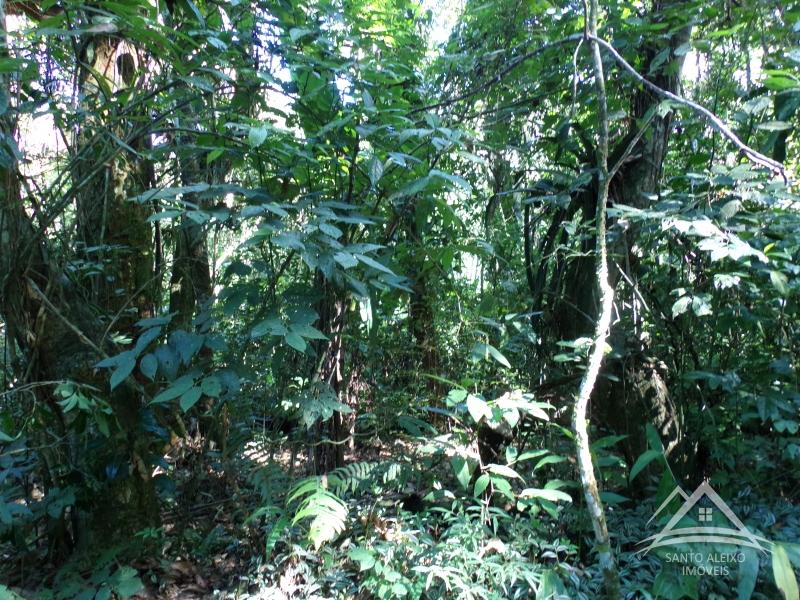 Terreno Residencial em Rio de Janeiro, Centro [Cod 26] - Santo Aleixo Imóveis