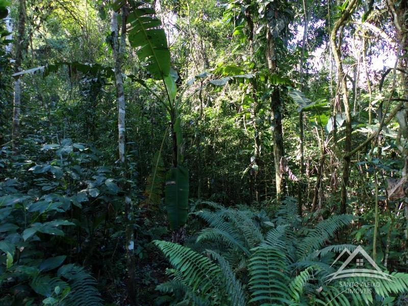 Terreno Residencial em Rio de Janeiro, Centro [Cod 26] - Santo Aleixo Imóveis