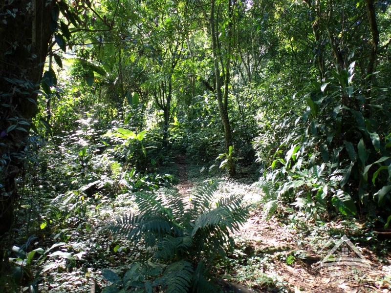 Terreno Residencial em Rio de Janeiro, Centro [Cod 26] - Santo Aleixo Imóveis