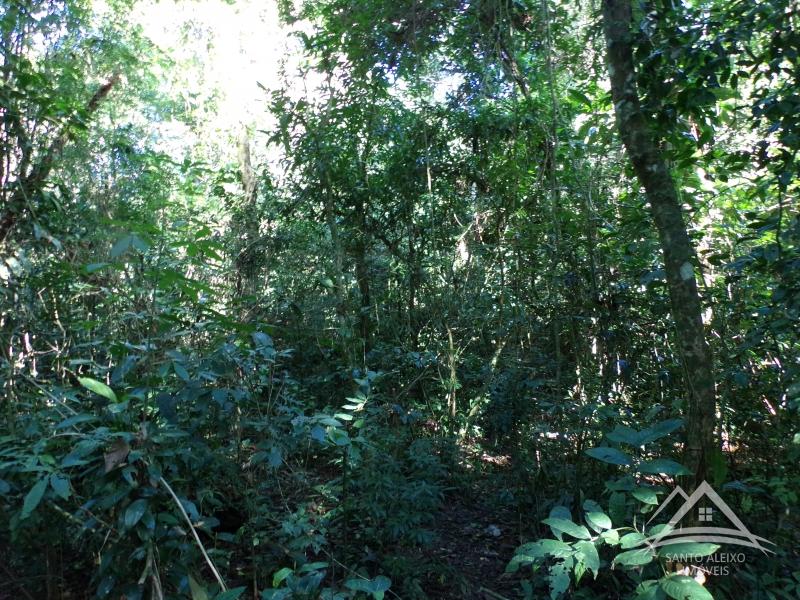 Terreno Residencial em Rio de Janeiro, Centro [Cod 26] - Santo Aleixo Imóveis