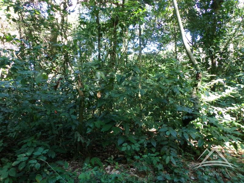 Terreno Residencial em Rio de Janeiro, Centro [Cod 26] - Santo Aleixo Imóveis