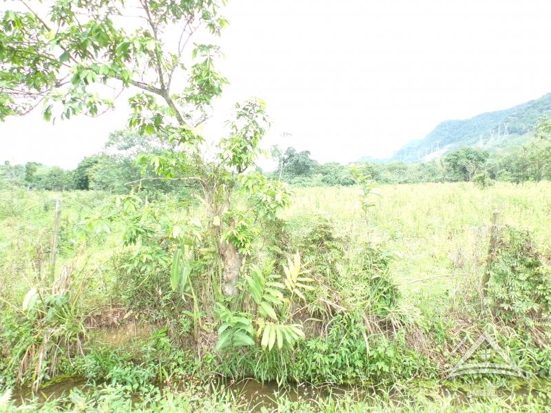 Terreno Residencial em Rio de Janeiro, Centro [Cod 32] - Santo Aleixo Imóveis