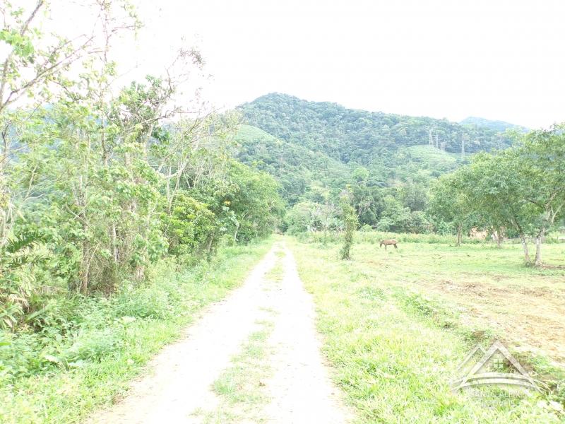 Terreno Residencial em Rio de Janeiro, Centro [Cod 32] - Santo Aleixo Imóveis