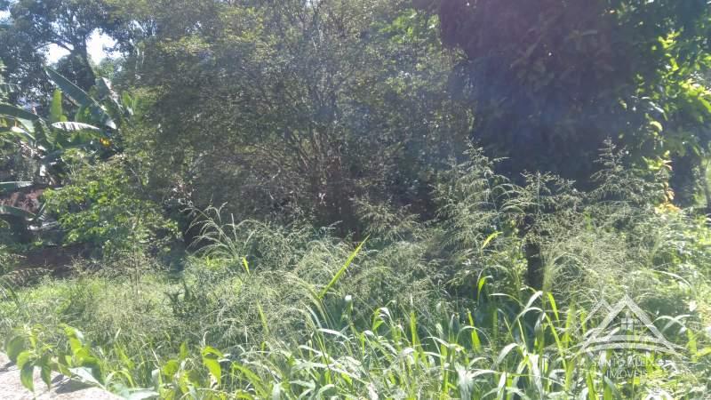 Casa em Petrópolis, Itaipava [Cod 33] - Santo Aleixo Imóveis