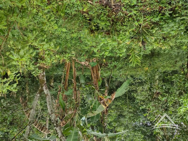 Terreno Residencial em Rio de Janeiro, Santo Aleixo [Cod 38] - Santo Aleixo Imóveis
