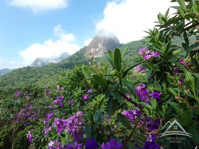 Fazenda / Sítio em Rio de Janeiro, Santo Aleixo [Cod 53] - Santo Aleixo Imóveis