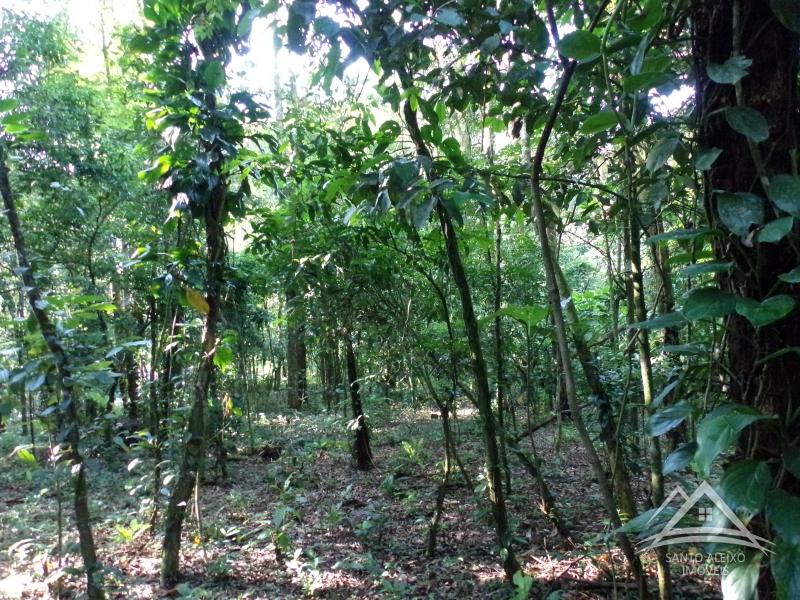 Terreno Residencial em Rio de Janeiro, Guapimirim [Cod 56] - Santo Aleixo Imóveis