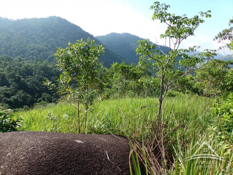 Terreno Residencial em Rio de Janeiro, Santo Aleixo [Cod 61] - Santo Aleixo Imóveis
