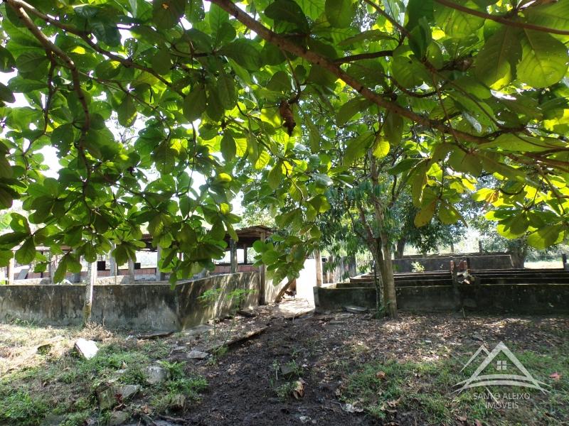 Fazenda / Sítio em Rio de Janeiro, Santo Aleixo [Cod 65] - Santo Aleixo Imóveis