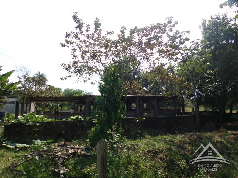Fazenda / Sítio em Rio de Janeiro, Santo Aleixo [Cod 65] - Santo Aleixo Imóveis