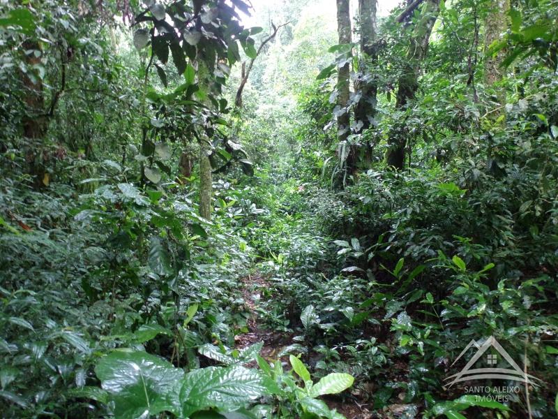 Terreno Residencial em Rio de Janeiro, Santo Aleixo [Cod 68] - Santo Aleixo Imóveis