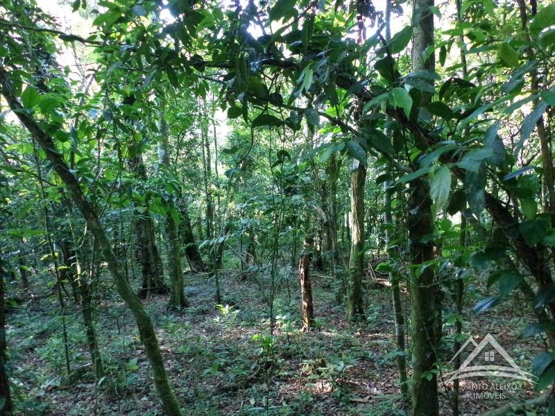 Terreno Residencial em Rio de Janeiro, Centro [Cod 73] - Santo Aleixo Imóveis