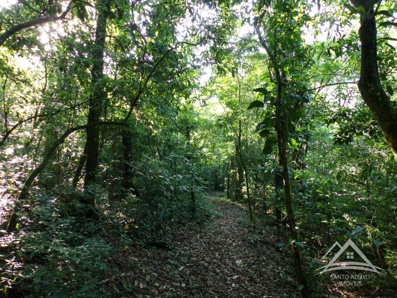 Terreno Residencial em Rio de Janeiro, Centro [Cod 73] - Santo Aleixo Imóveis