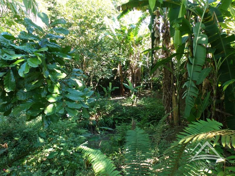 Fazenda / Sítio em Rio de Janeiro, Santo Aleixo [Cod 81] - Santo Aleixo Imóveis