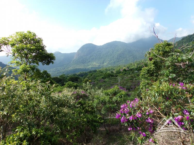 Fazenda / Sítio em Petrópolis, Itaipava [Cod 86] - Santo Aleixo Imóveis