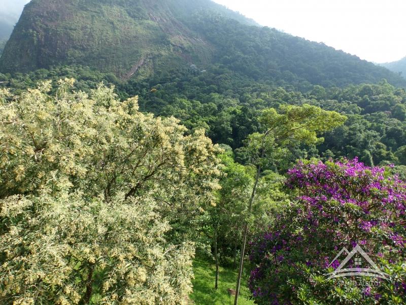 Fazenda / Sítio em Petrópolis, Itaipava [Cod 86] - Santo Aleixo Imóveis