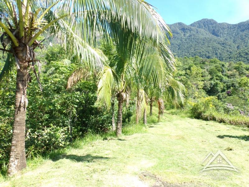 Fazenda / Sítio em Petrópolis, Itaipava [Cod 86] - Santo Aleixo Imóveis