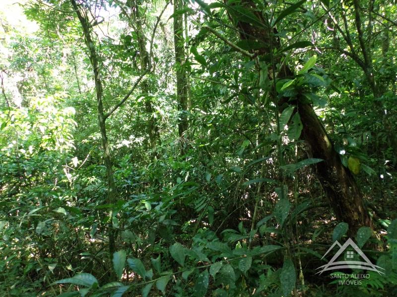 Fazenda / Sítio em Petrópolis, Itaipava [Cod 86] - Santo Aleixo Imóveis