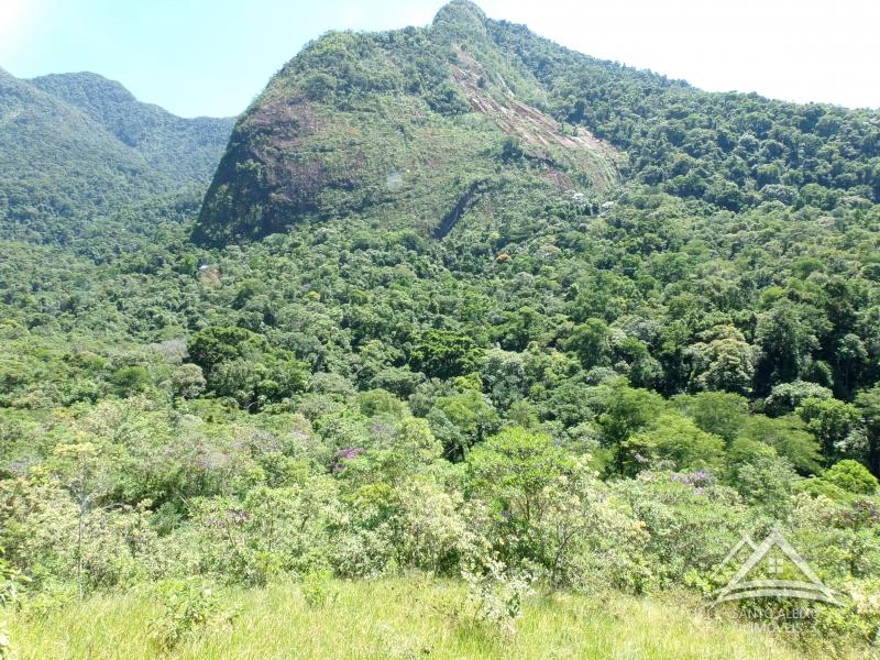 Fazenda / Sítio em Petrópolis, Itaipava [Cod 86] - Santo Aleixo Imóveis