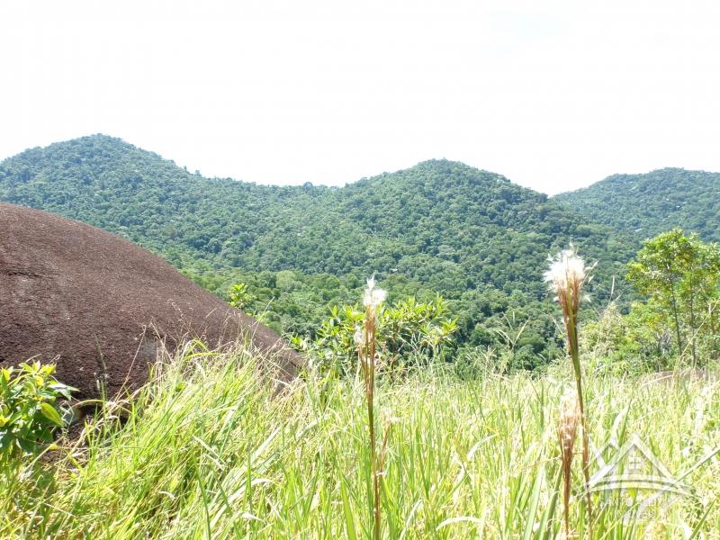 Fazenda / Sítio em Petrópolis, Itaipava [Cod 86] - Santo Aleixo Imóveis