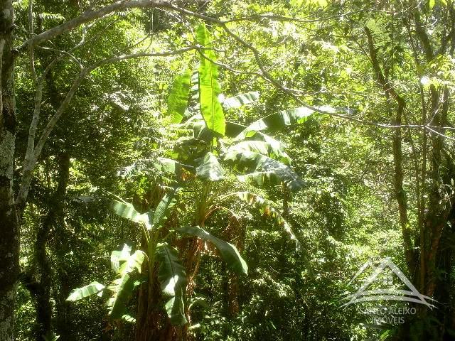 Fazenda / Sítio em Rio de Janeiro, Santo Aleixo [Cod 89] - Santo Aleixo Imóveis
