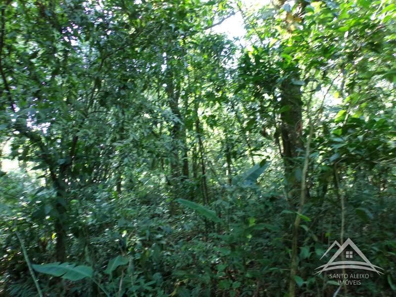 Fazenda / Sítio em Rio de Janeiro, Santo Aleixo [Cod 89] - Santo Aleixo Imóveis