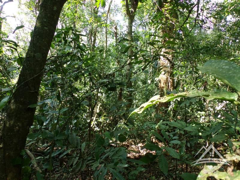 Fazenda / Sítio em Rio de Janeiro, Santo Aleixo [Cod 89] - Santo Aleixo Imóveis