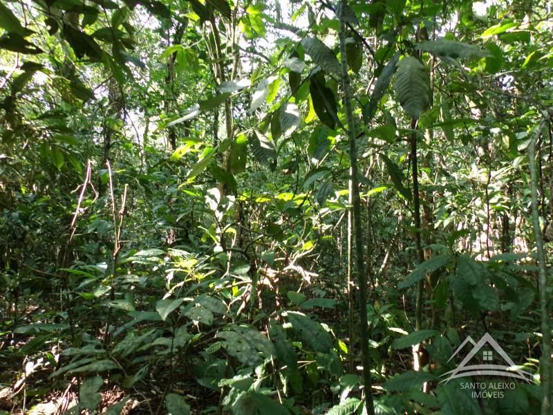 Fazenda / Sítio em Rio de Janeiro, Santo Aleixo [Cod 89] - Santo Aleixo Imóveis