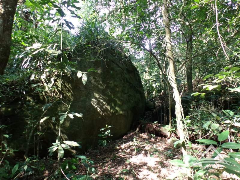 Fazenda / Sítio em Rio de Janeiro, Santo Aleixo [Cod 89] - Santo Aleixo Imóveis