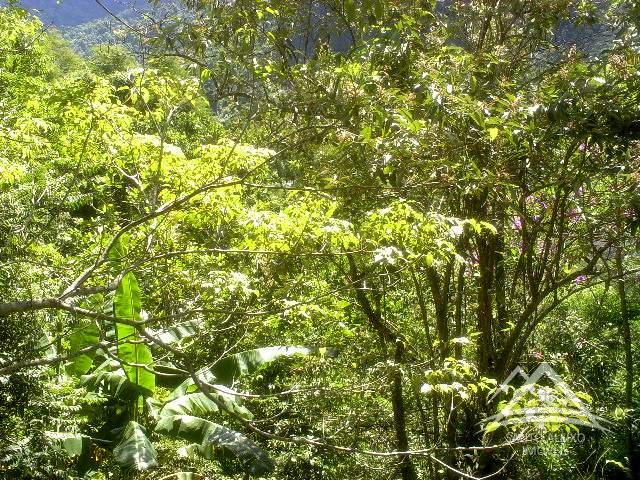 Fazenda / Sítio em Rio de Janeiro, Santo Aleixo [Cod 92] - Santo Aleixo Imóveis
