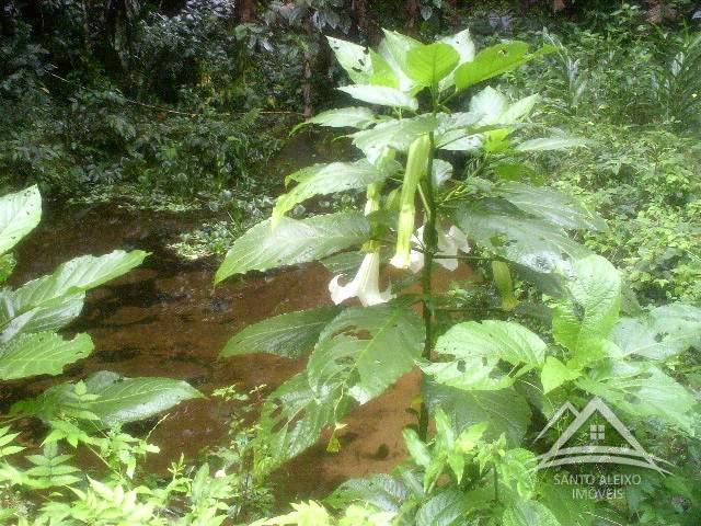 Fazenda / Sítio em Rio de Janeiro, Santo Aleixo [Cod 92] - Santo Aleixo Imóveis