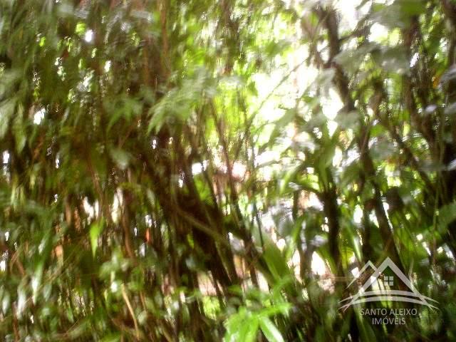 Fazenda / Sítio em Rio de Janeiro, Santo Aleixo [Cod 92] - Santo Aleixo Imóveis