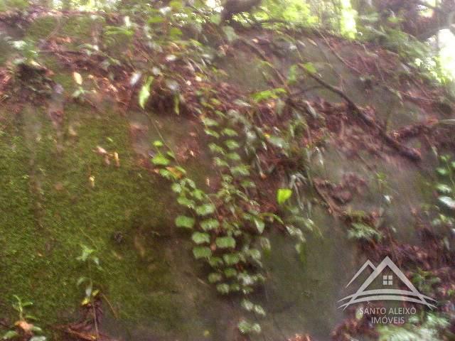 Fazenda / Sítio em Rio de Janeiro, Santo Aleixo [Cod 92] - Santo Aleixo Imóveis